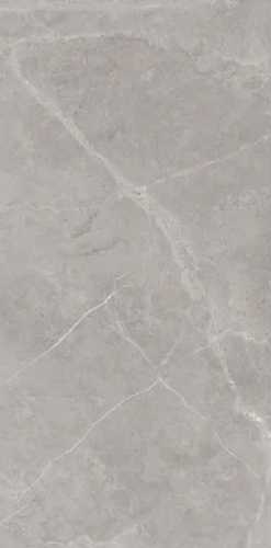 Керамогранит Art Ceramic Berrys Grey High gloss 60*120