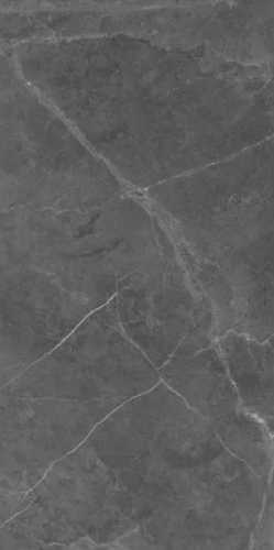 Керамогранит Art Ceramic Berrys Graffite High gloss 60*120