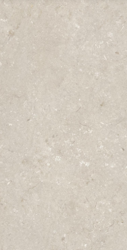Керамогранит Dado Ceramica 005486 Shellstone Beige 60x120