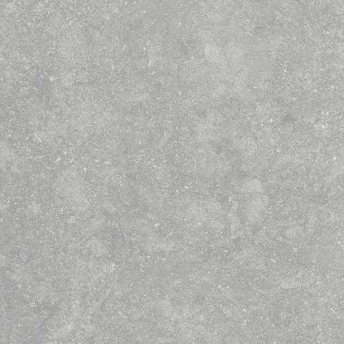 Керамогранит Alpas Euro Fossil Gris 20mm 60x60