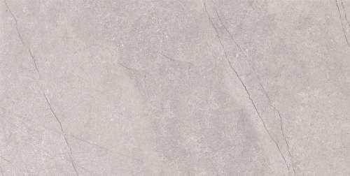 Керамогранит Azario E4040821120M Fossil Grey Matt 60x120