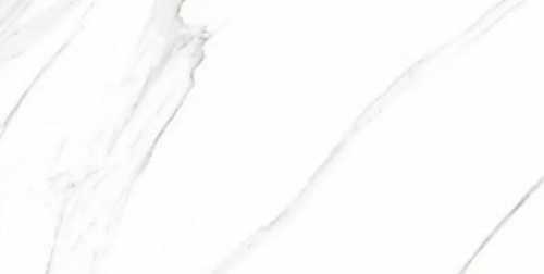 Керамогранит KerAline Whitey Veined Glossy 60x120