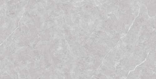 Керамогранит Neodom N20436 Tokyo Grey Matt 60x120