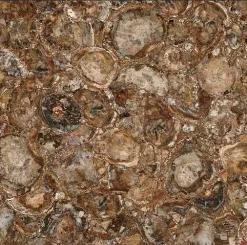 Керамогранит Marmocer MC-SP09 Petrified Wood (Round) (Compound With Granit) 100x100