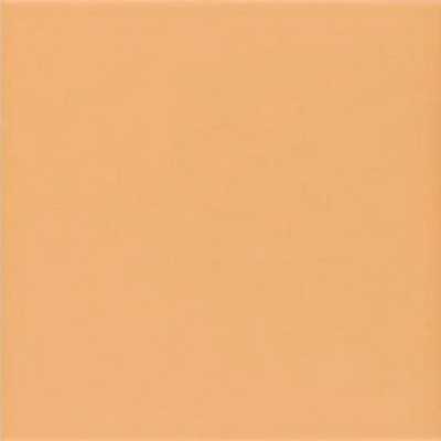 Керамогранит Mainzu Technical Tangerine 20х20