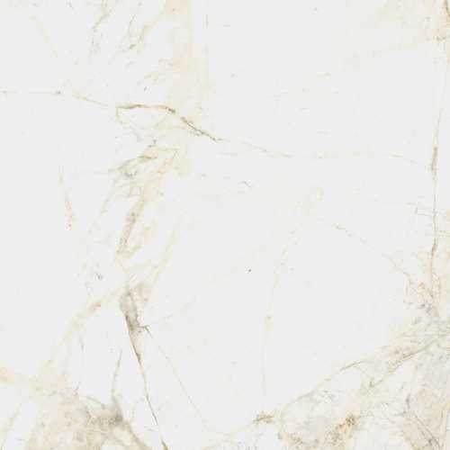 Керамогранит Coliseumgres 610010005761 Canova White Ret 60x60