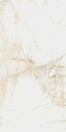 Керамогранит Coliseumgres 610010005765 Canova White Ret 60x120