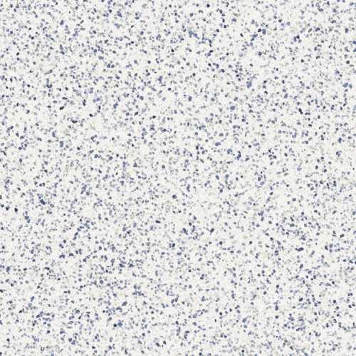 Керамогранит Marazzi Italy MMZY Frammento Macro Azzurro R10 RT 120x120