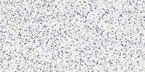 Керамогранит Marazzi Italy MN13 Frammento Macro Azzurro R10 RT 60x120