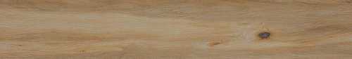 Керамогранит Serenissima Cir Leccio Classico Ret 20x120