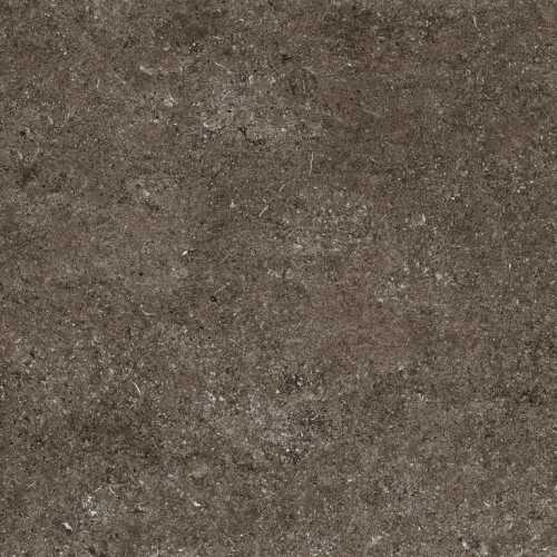Керамогранит Casa Dolce Casa 768380 Sensi Brown Fossil R+PTV Ret 80x80