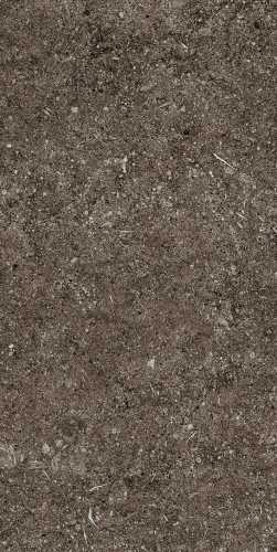 Керамогранит Casa Dolce Casa 768354 Sensi Brown Fossil R+PTV Ret 40x80