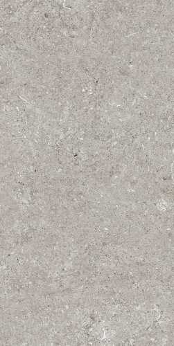 Керамогранит Casa Dolce Casa 768342 Sensi Grey Fossil Ret 40x80