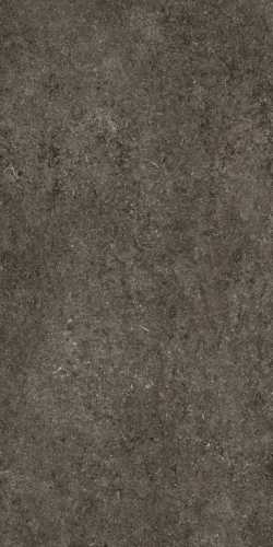 Керамогранит Casa Dolce Casa 768328 Sensi Brown Fossil R+PTV Ret 60x120