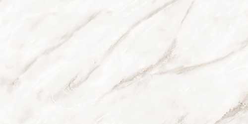 Керамогранит NT Ceramic NTT99525P Empire Pearl Endless 60x120