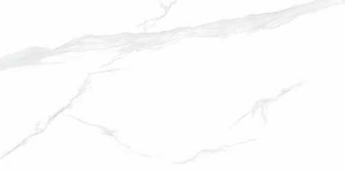 Керамогранит NT Ceramic NTT9106P Statuario 60x120