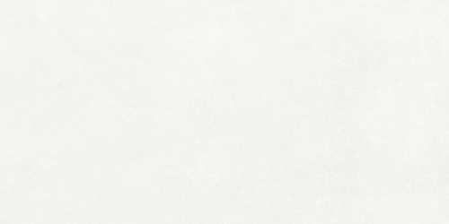 Керамогранит Infinity Ceramica Opera White Carving 60x120