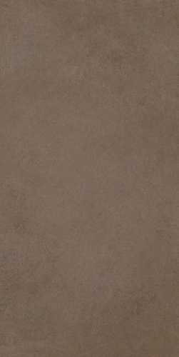 Керамогранит Cerim 780811 Easy Life Mushroom Matte Silk Ret 60x120