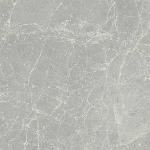 Керамогранит Cerim 760074 Exalt Silver Light Nat Ret 60x60