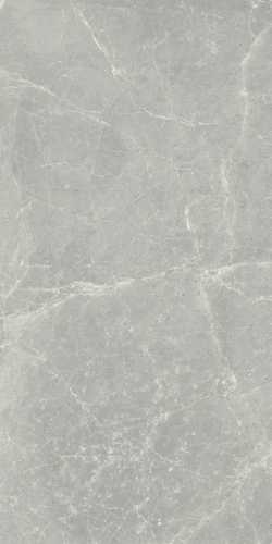 Керамогранит Cerim 760038 Exalt Silver Light Nat Ret 60x120