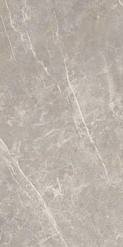 Керамогранит Cerim 766528 Elemental Grey Dolomia Luc Ret 60x120