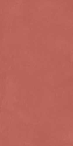 Керамогранит Cedit 760353 Rilievi Terra Ret 6mm 120x240