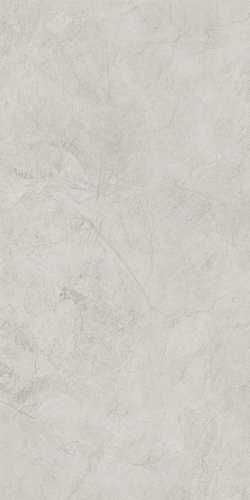 Керамогранит NT Ceramic NTT99612L Granite Obelisk Ash 60x120