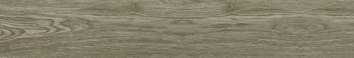 Керамогранит NT Ceramic NTT92306M Wood Forest Mat 20x120