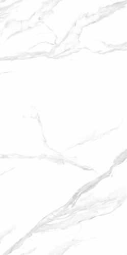 Керамогранит NT Ceramic NTT3009M Statuario Mat 120x240