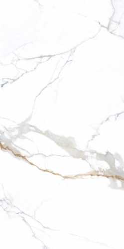 Керамогранит NT Ceramic NTT3001P Carrara Gold 120x240