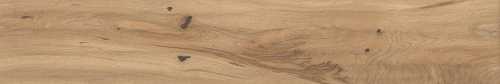 Керамогранит Atlas Concorde Italy AX3B Log Icon Oak Forest Matte 20x120