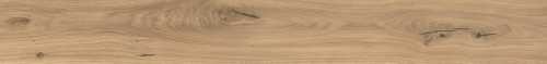 Керамогранит Atlas Concorde Italy AX5U Log Icon Oak Forest Matte 20x180