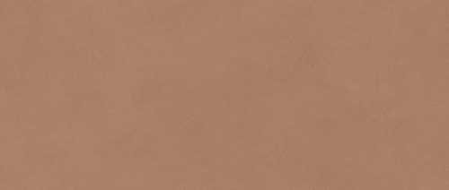 Плитка Atlas Concorde Italy AYR9 Boost Expression Sienna Matte 50x120