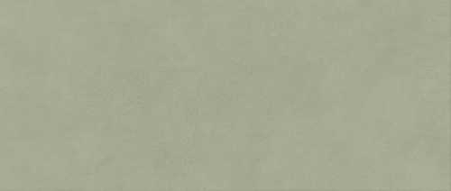 Плитка Atlas Concorde Italy AYR7 Boost Expression Olive Matte 50x120