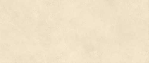 Плитка Atlas Concorde Italy AYR6 Boost Expression Shell Matte 50x120