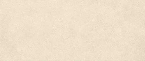 Плитка Atlas Concorde Italy AYTU Boost Expression Grain Shell Matte 50x120