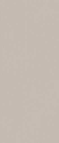 Плитка FAP Ceramiche fTDU True Color Fossil Matt RT 50x120