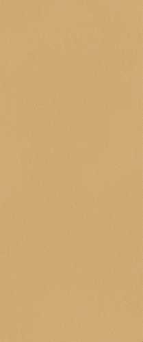 Плитка FAP Ceramiche fTDS True Color Caramel Matt RT 50x120